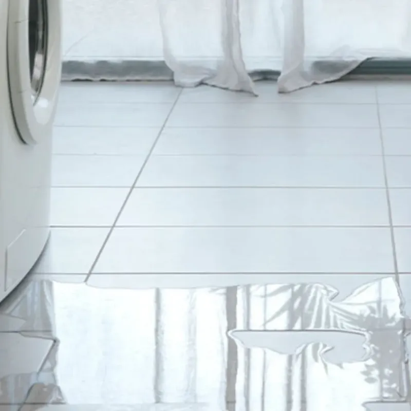 Appliance Leak Cleanup in Thomasville, AL