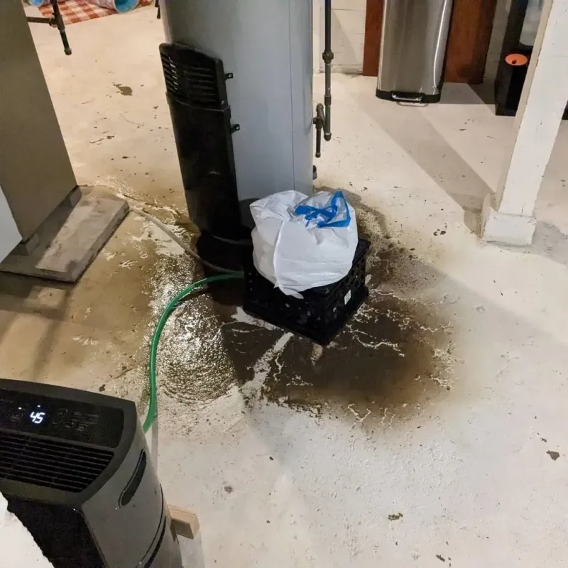 Sewage Backup Cleanup Service in Thomasville, AL